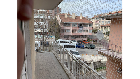 Kedi Filesi Sancaktepe